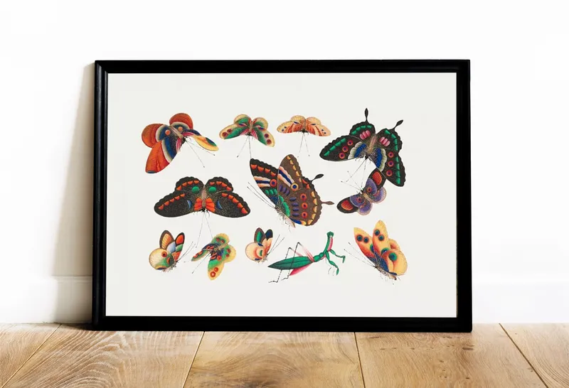 Постер «Живописные бабочки» на стене в офисе