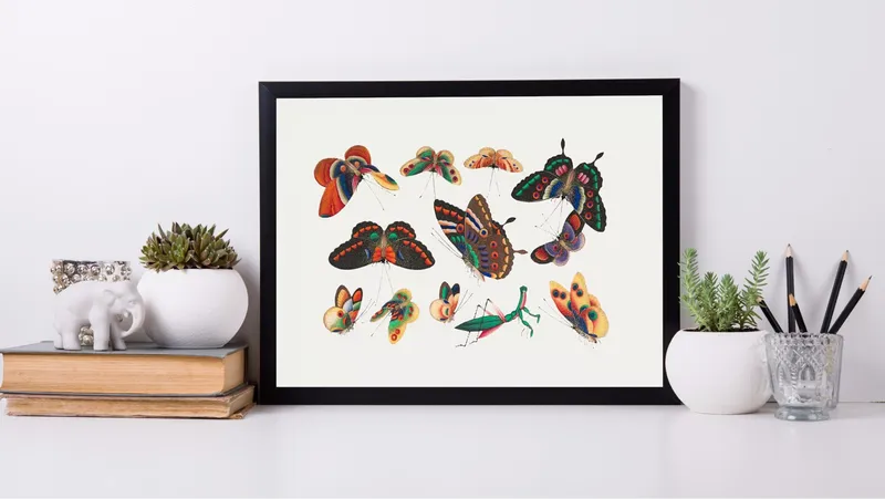 Постер «Живописные бабочки» над диваном в гостиной