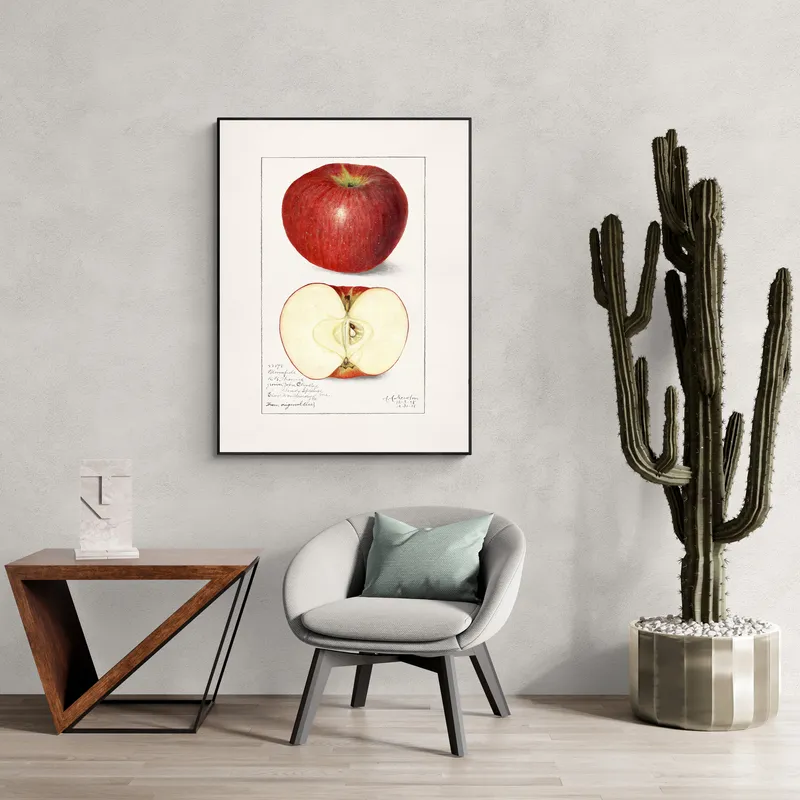 Постер «Яблоко в разрезе» на стене в офисе