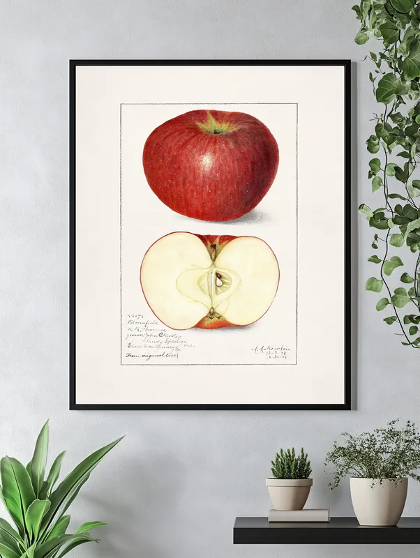 Постер «Яблоко в разрезе» над диваном в гостиной