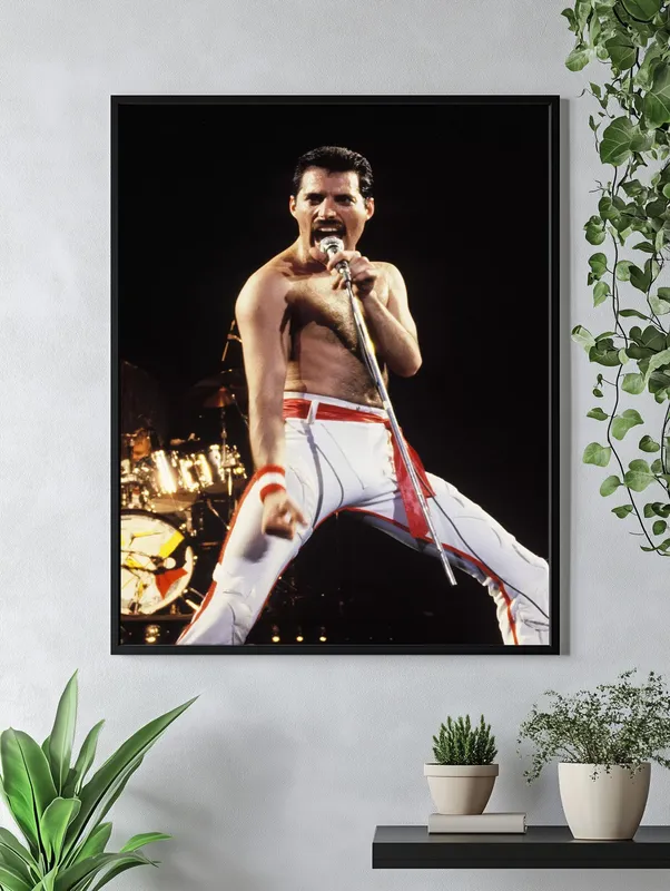 Постер «Фредди Меркьюри - Концерт» над диваном в гостиной