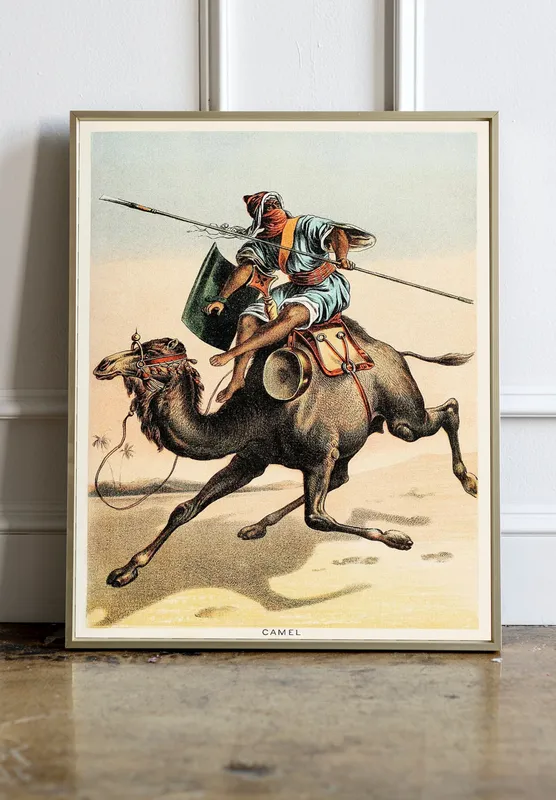 Постер «Бедуин на верблюде» на стене в офисе