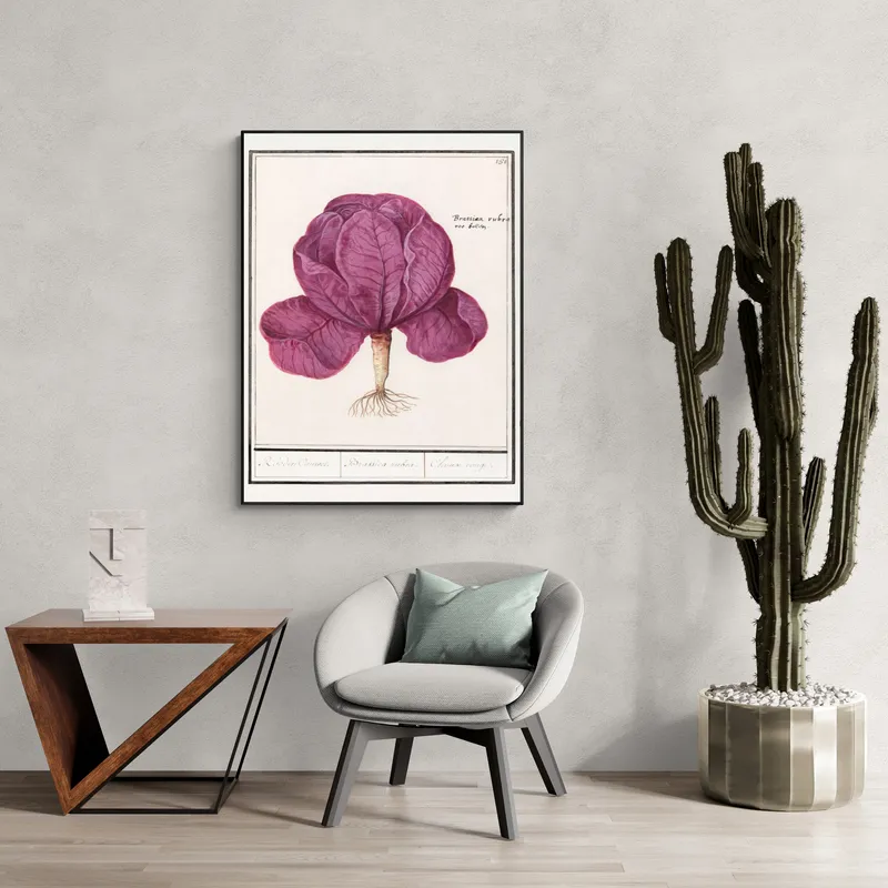 Постер «Овощи - Фиолетовая капуста Rode Kool» на стене в офисе