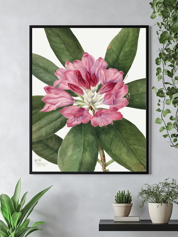 Постер «Дикие цветы - Рододендрон катевбинский» над диваном в гостиной