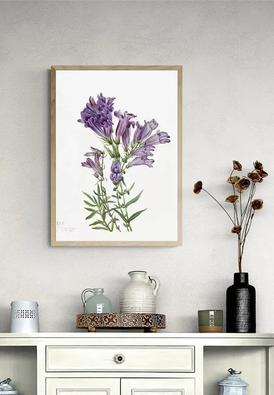 Постер «Дикие цветы - Фиолетовый Пенстемон» на стене в офисе