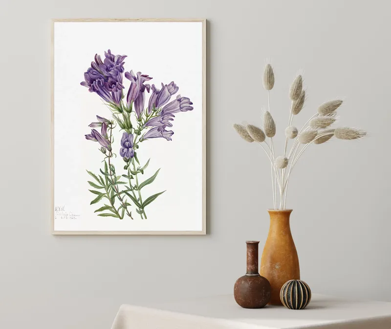 Постер «Дикие цветы - Фиолетовый Пенстемон» над диваном в гостиной