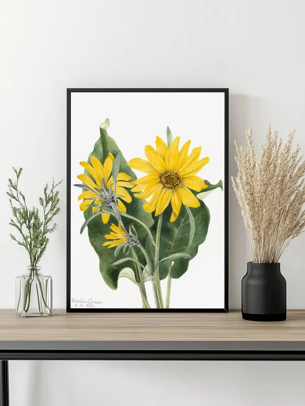 Постер «Дикие цветы - Бальзамический корень» на стене в офисе