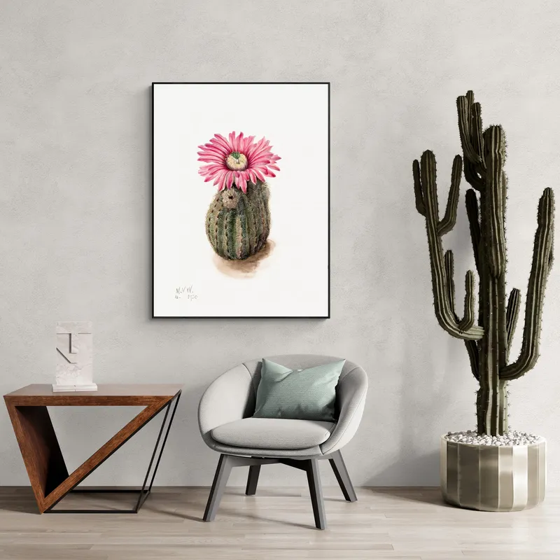 Постер «Дикие цветы - Цветок кактуса» над диваном в гостиной