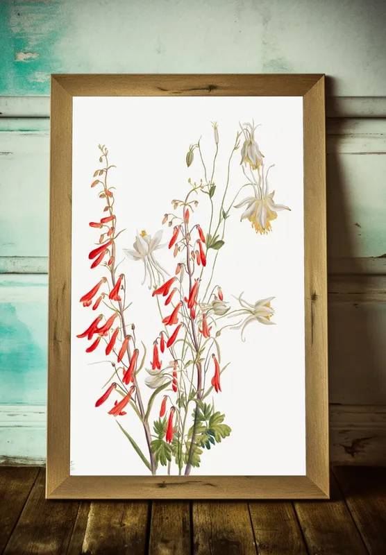 Постер «Дикие цветы - Красный Пенстемон» на стене в офисе