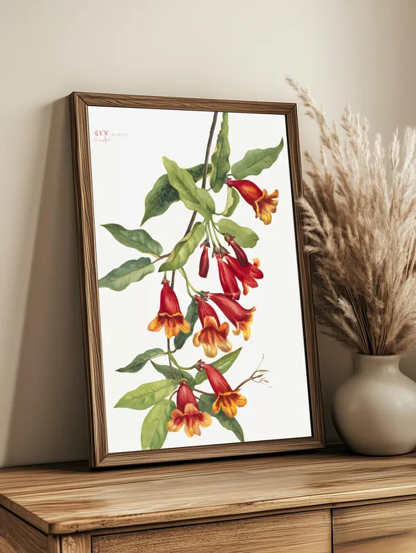 Постер «Дикие цветы - Кроссвин» на стене в офисе