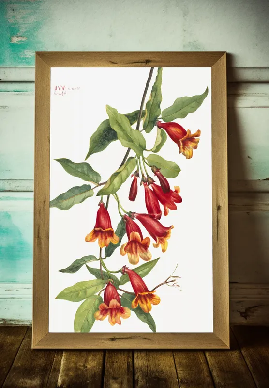 Постер «Дикие цветы - Кроссвин» над диваном в гостиной