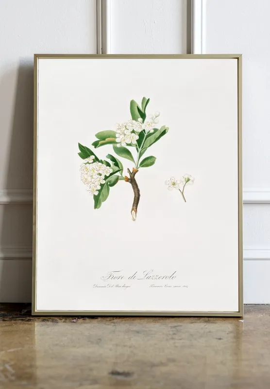 Постер «Дикие цветы - Цветок боярышника» на стене в офисе