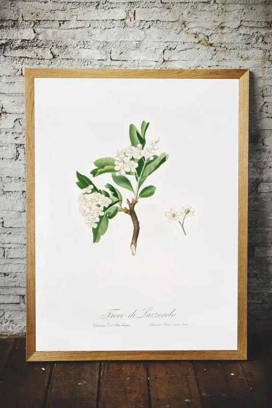 Постер «Дикие цветы - Цветок боярышника» над диваном в гостиной