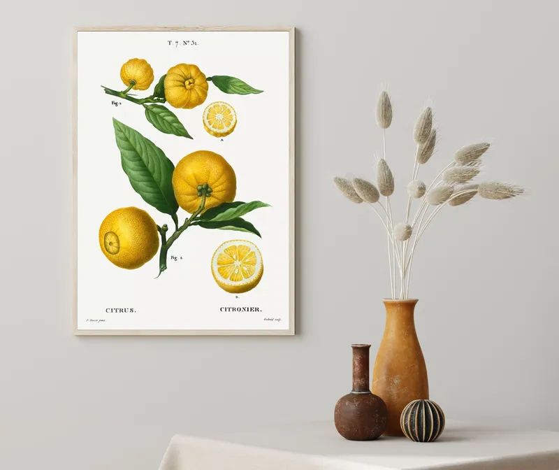 Постер «Фрукты - Плоды цитруса» на стене в офисе