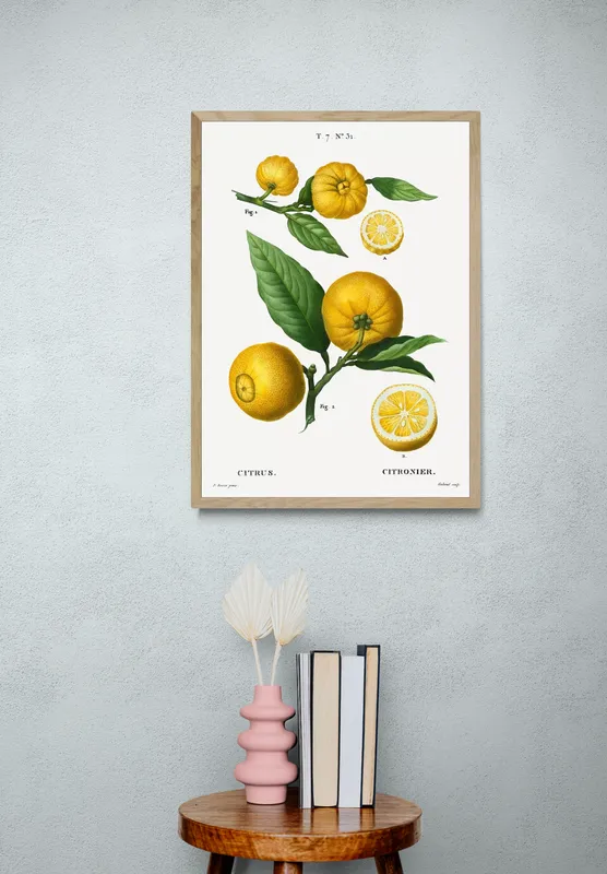 Постер «Фрукты - Плоды цитруса» над диваном в гостиной