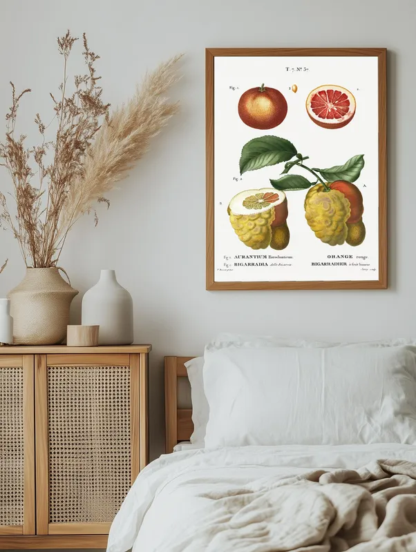 Постер «Фрукты - Красный грейпфрут» на стене в офисе