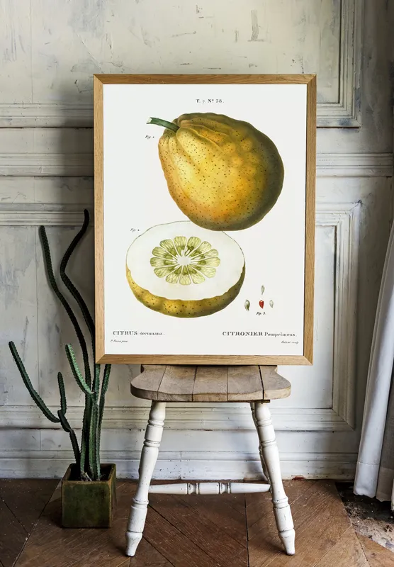 Постер «Фрукты - Помело» на стене в офисе