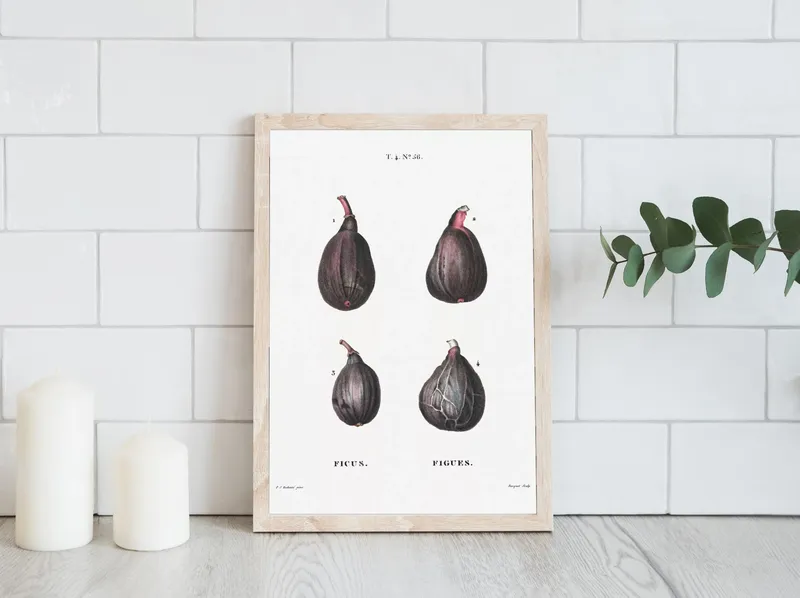 Постер «Фрукты - Фикусы и инжиры» на стене в офисе