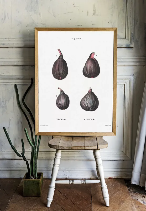 Постер «Фрукты - Фикусы и инжиры» над диваном в гостиной