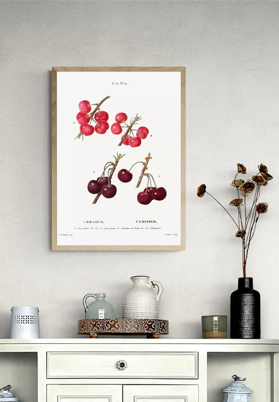 Постер «Фрукты - Разновидность вишни» на стене в офисе