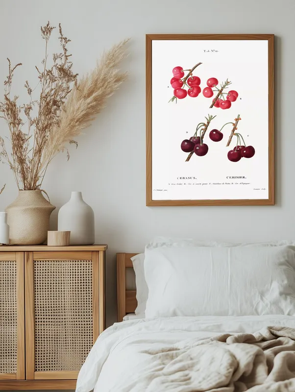 Постер «Фрукты - Разновидность вишни» над диваном в гостиной