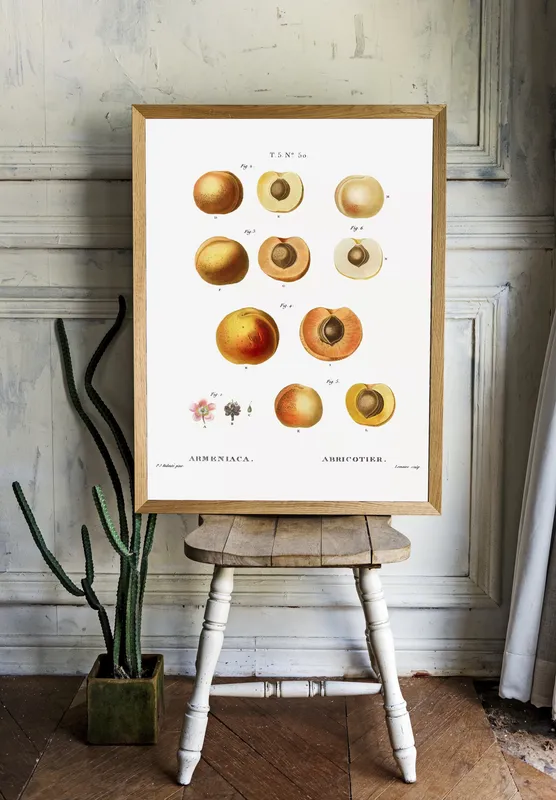 Постер «Фрукты - Абрикосы и персики» на стене в офисе
