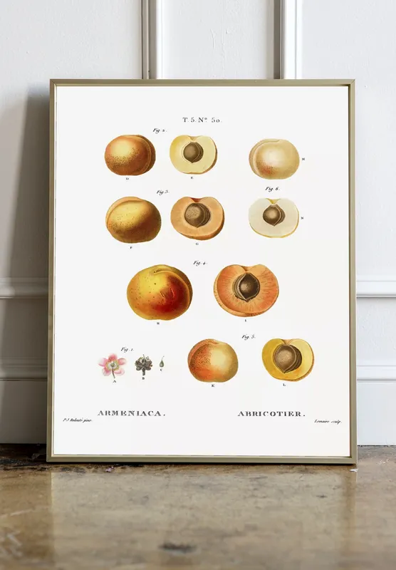 Постер «Фрукты - Абрикосы и персики» над диваном в гостиной