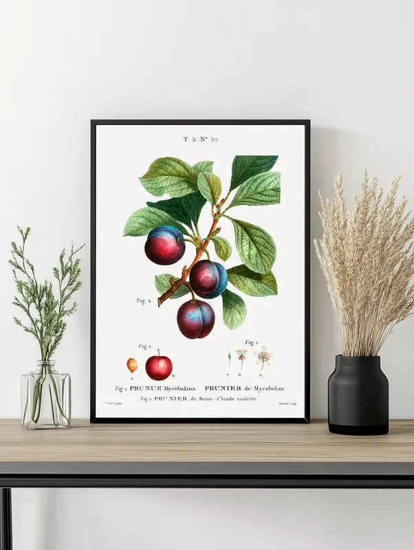 Постер «Фрукты - Сливы на веточке» на стене в офисе