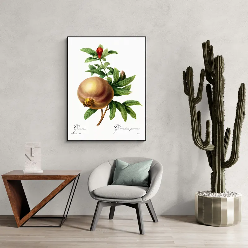 Постер «Фрукты - Гранат» над диваном в гостиной