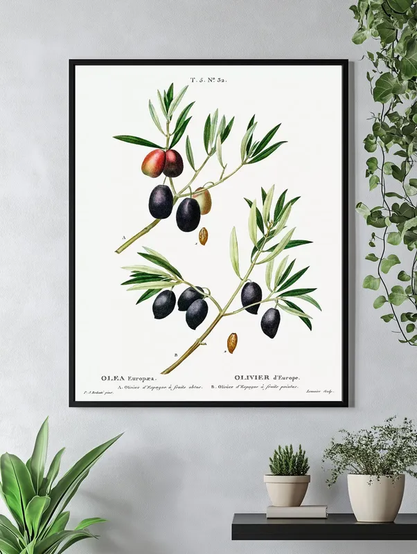 Постер «Фрукты - Веточки оливы» над диваном в гостиной