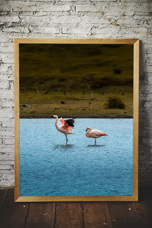 Постер «Постер Чилийские фламинго — розовые птицы солончаков Атакамы» на стене в офисе