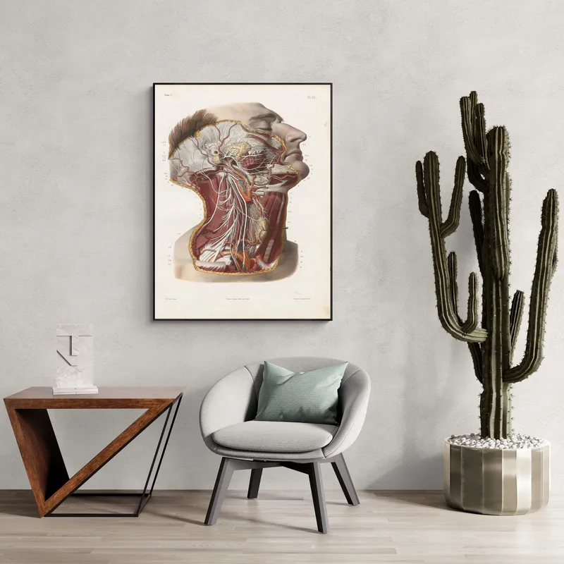 Постер «Анатомия - Строение нервных окончаний человека» над диваном в гостиной