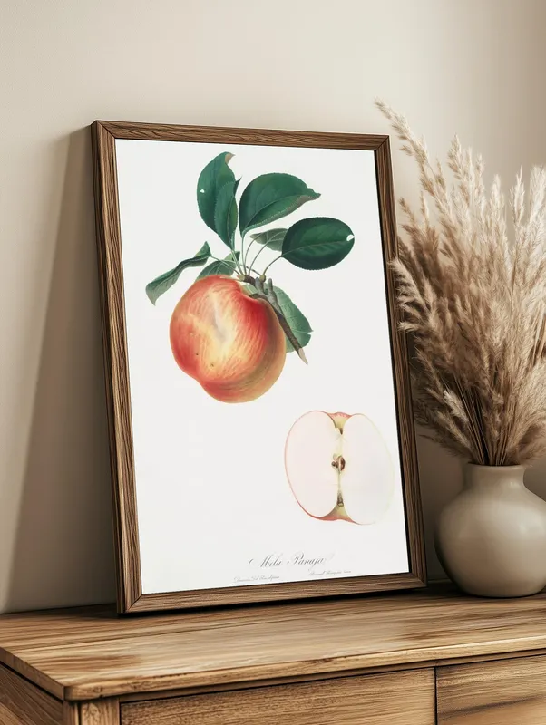Постер «Фрукты - Красное яблоко» на стене в офисе