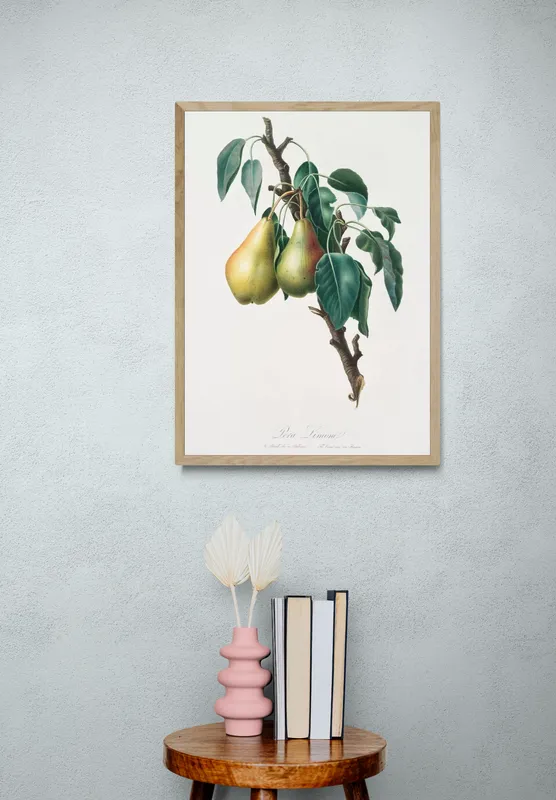 Постер «Фрукты - Плод груши на ветке» на стене в офисе