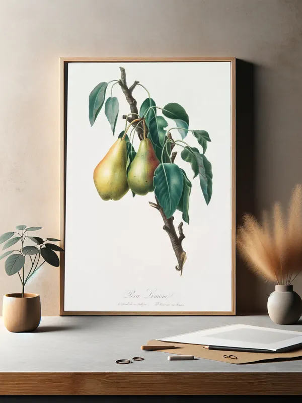 Постер «Фрукты - Плод груши на ветке» над диваном в гостиной