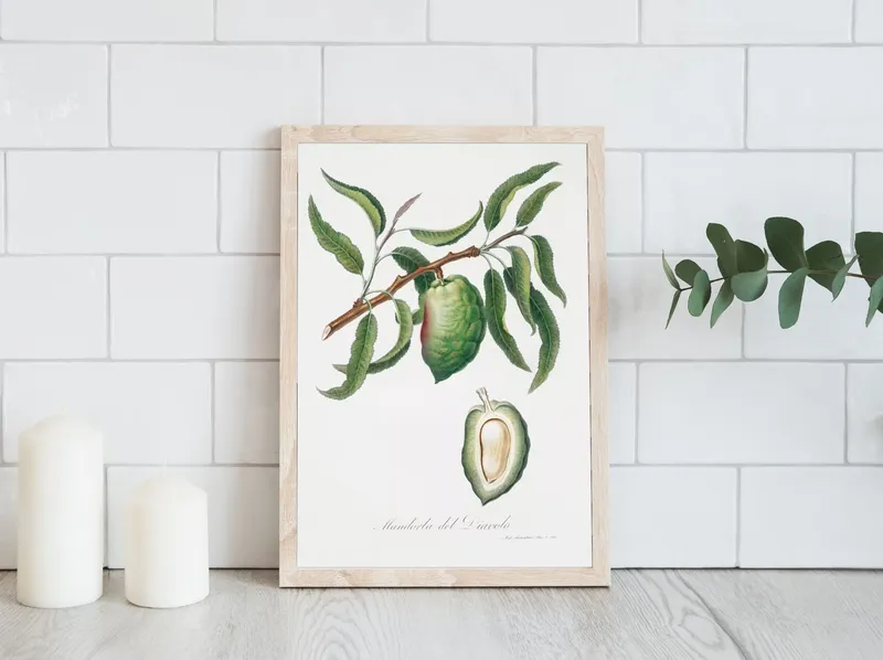 Постер «Фрукты - Миндаль на ветке» над диваном в гостиной