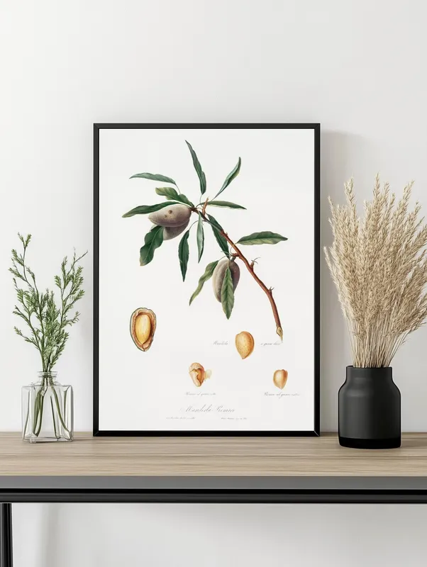 Постер «Фрукты - Миндальный орех» на стене в офисе