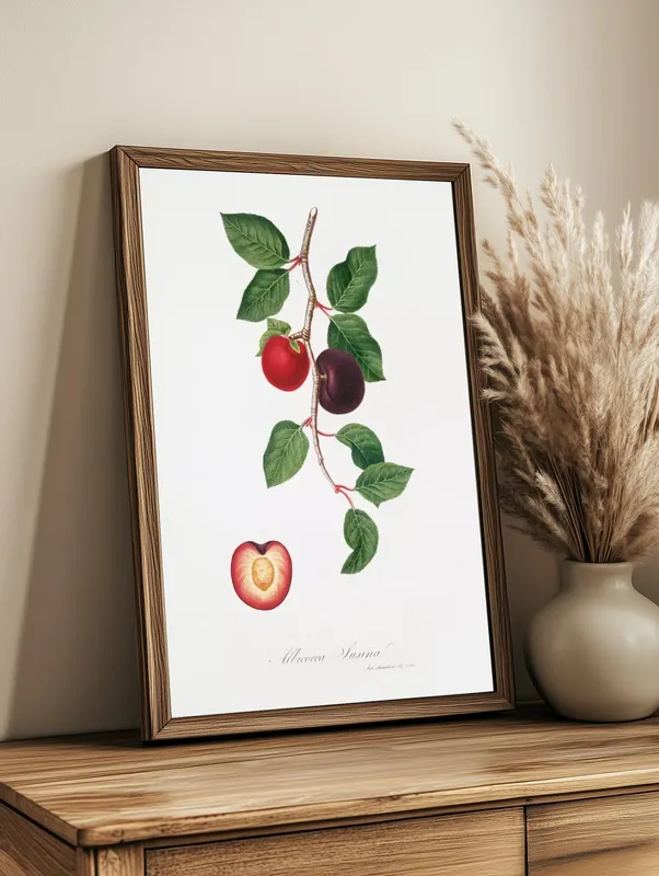 Постер «Фрукты - Сливы на ветке» над диваном в гостиной