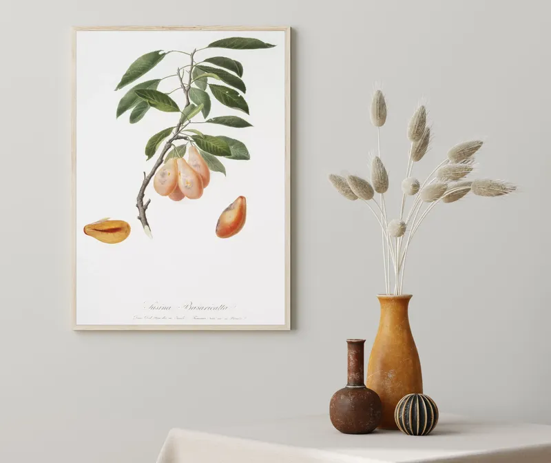 Постер «Фрукты - Веточка с грушами» на стене в офисе