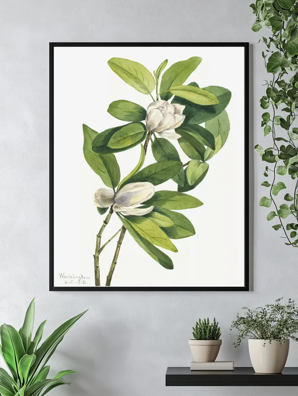 Постер «Дикие цветы - Магнолия» на стене в офисе