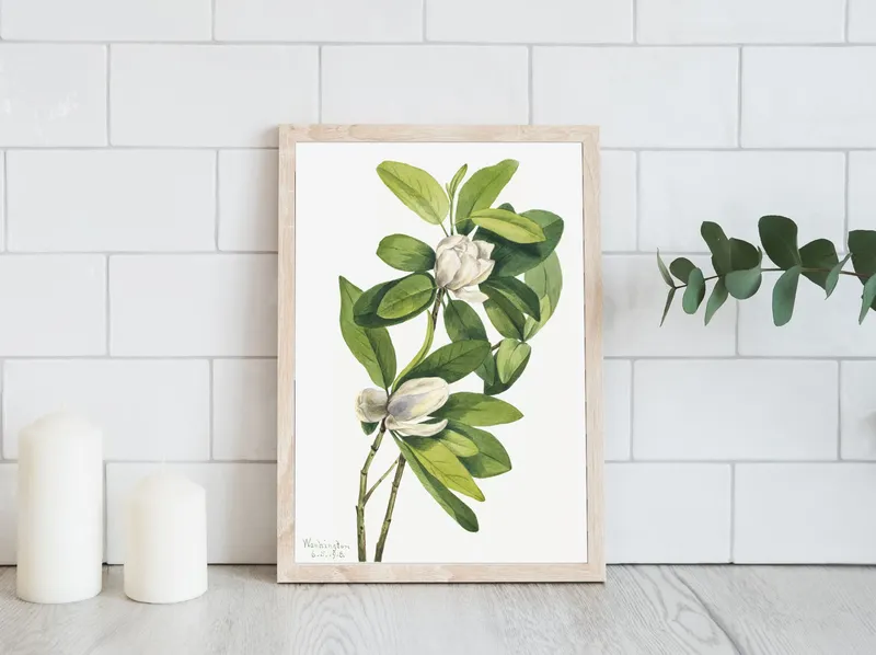 Постер «Дикие цветы - Магнолия» над диваном в гостиной