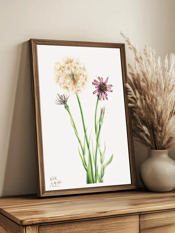 Постер «Дикие цветы - Сальсифи» на стене в офисе