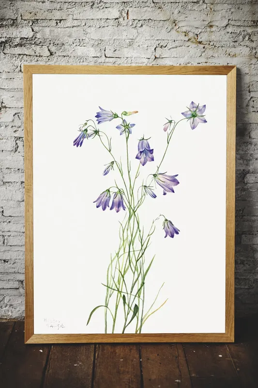 Постер «Дикие цветы - Колокольчики» на стене в офисе