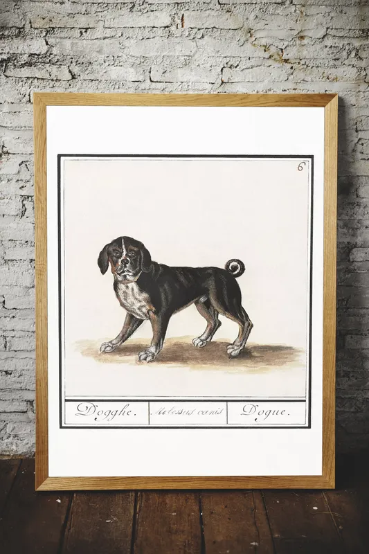 Постер «Бигль» на стене в офисе