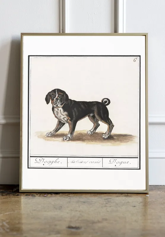 Постер «Бигль» над диваном в гостиной