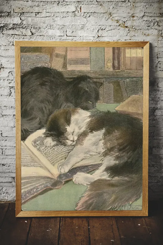 Постер «Кошки - Кошачий сон на книгах» над диваном в гостиной