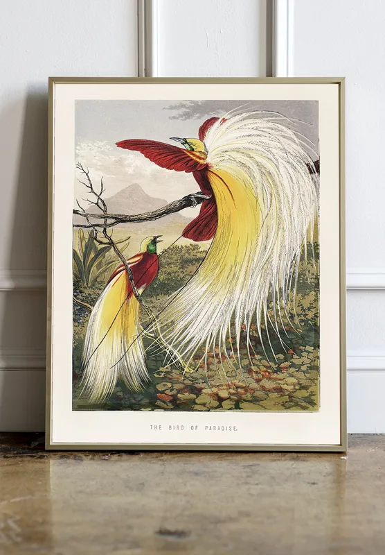 Постер «Две райские птицы» над диваном в гостиной