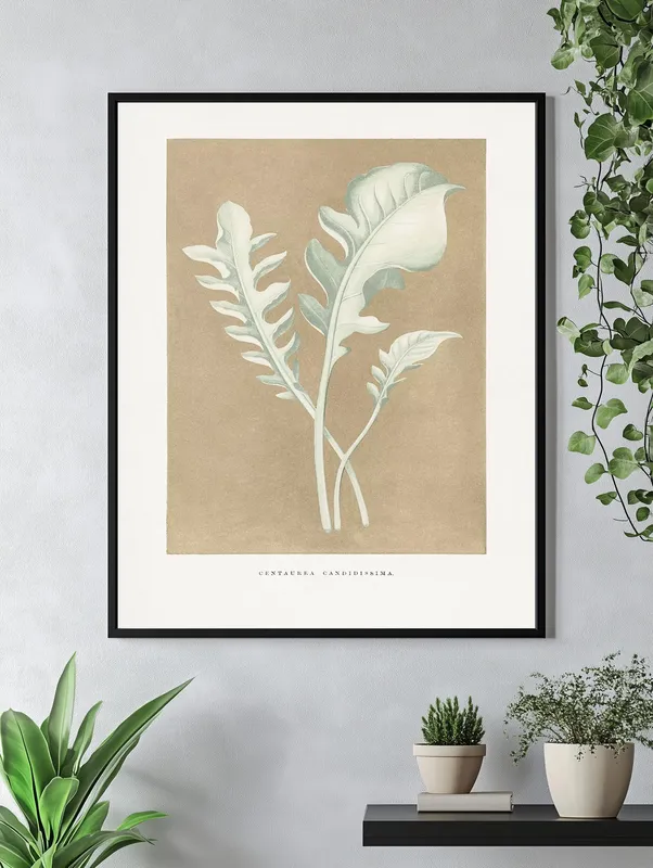 Постер «Листья василька» на стене в офисе