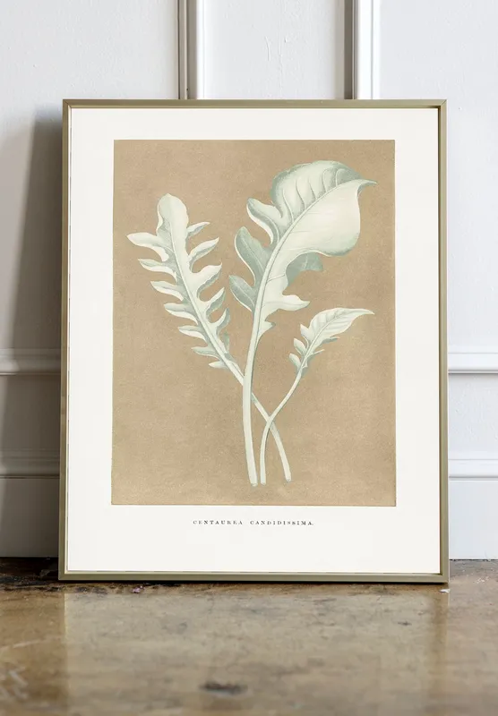 Постер «Листья василька» над диваном в гостиной