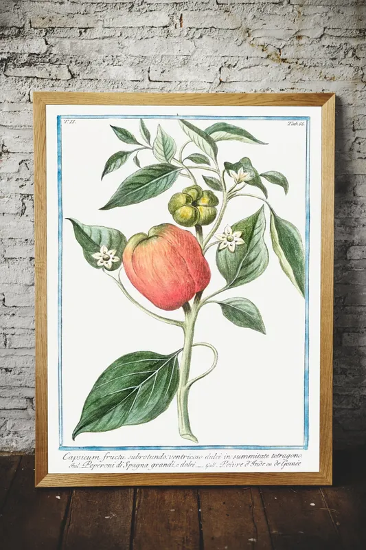 Постер «Овощи - Сладкий перец» на стене в офисе